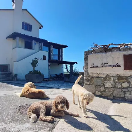 Appartman Casa Fermeglia With Private Jacuzzie And Truffle Hunting Experience * Roč